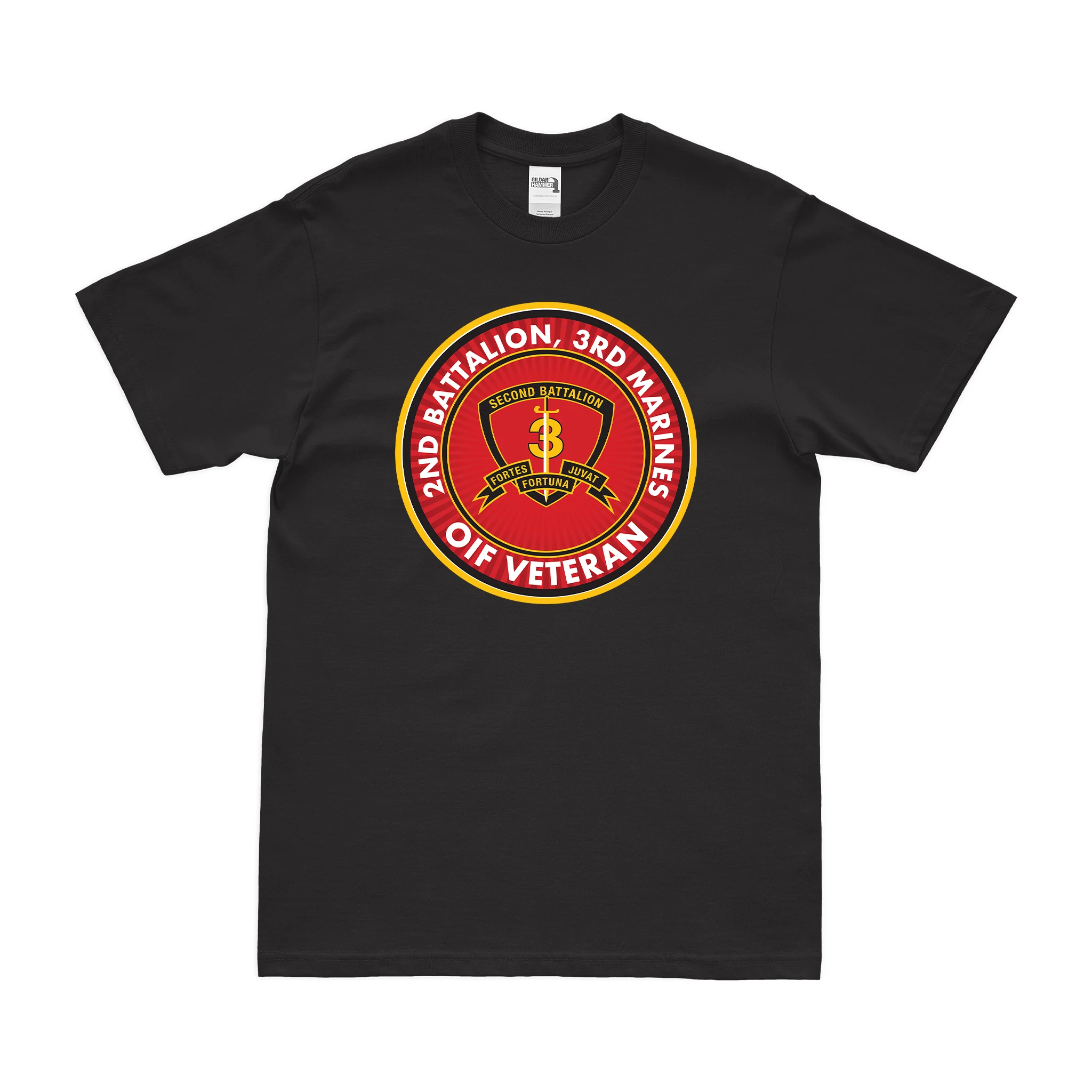 2nd Battalion 3rd Marines (2/3 Marines) OIF Veteran T-Shirt