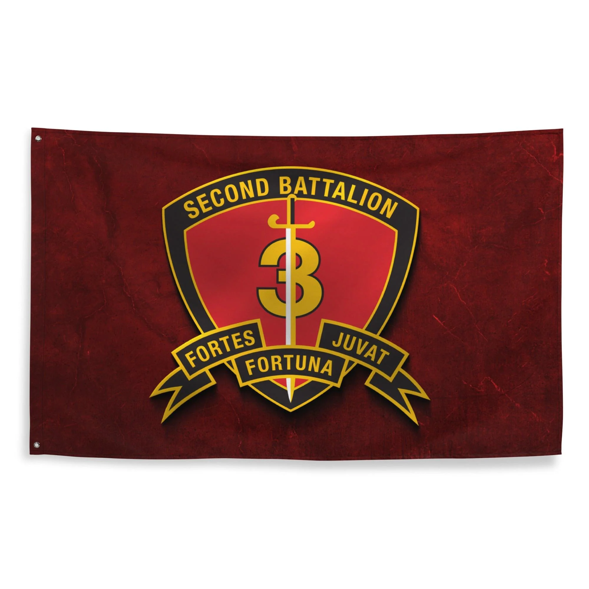 2nd Bn 3rd Marines (2/3 Marines) Red Flag - Image 3