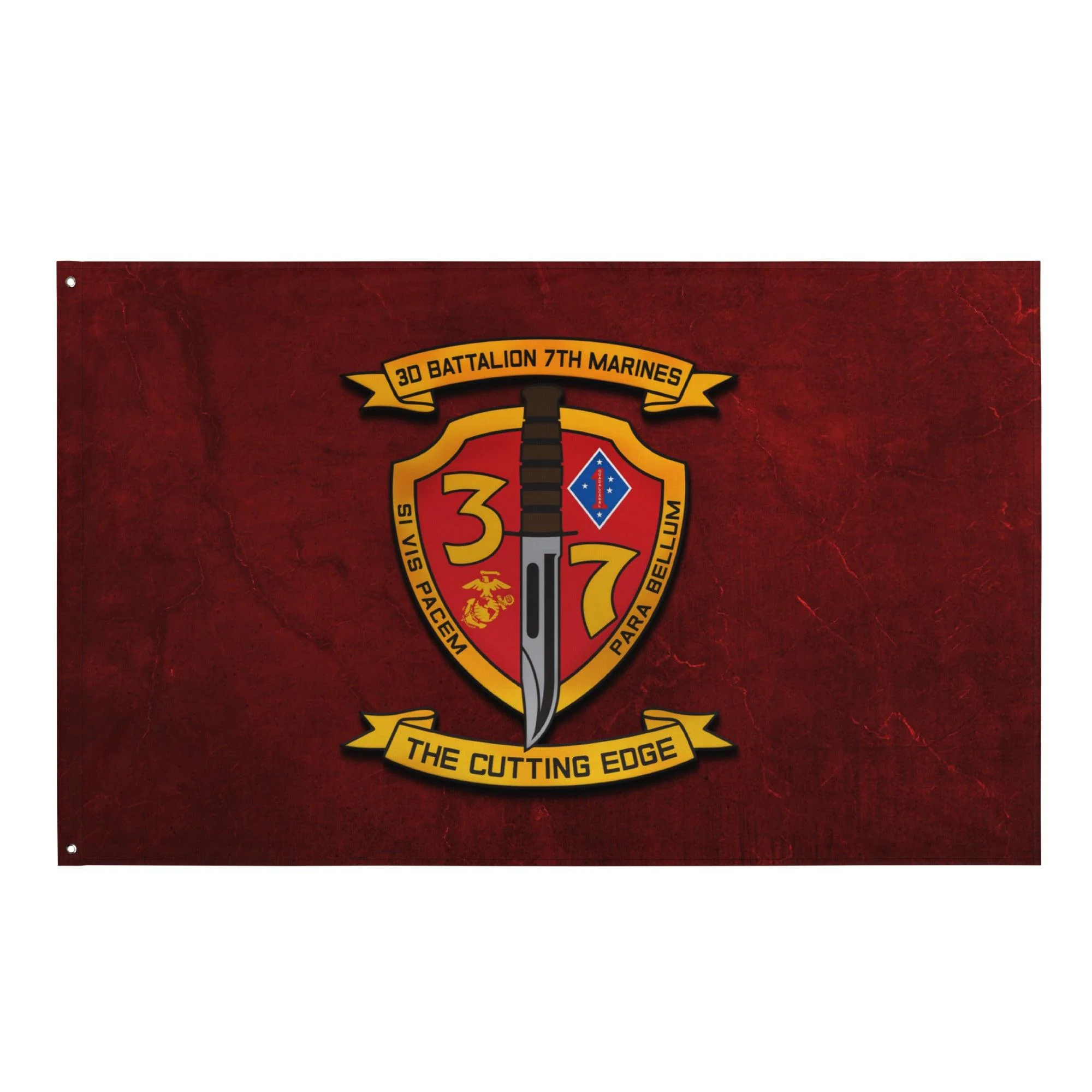 3rd Bn 7th Marines (3/7 Marines) Red Flag - Image 3
