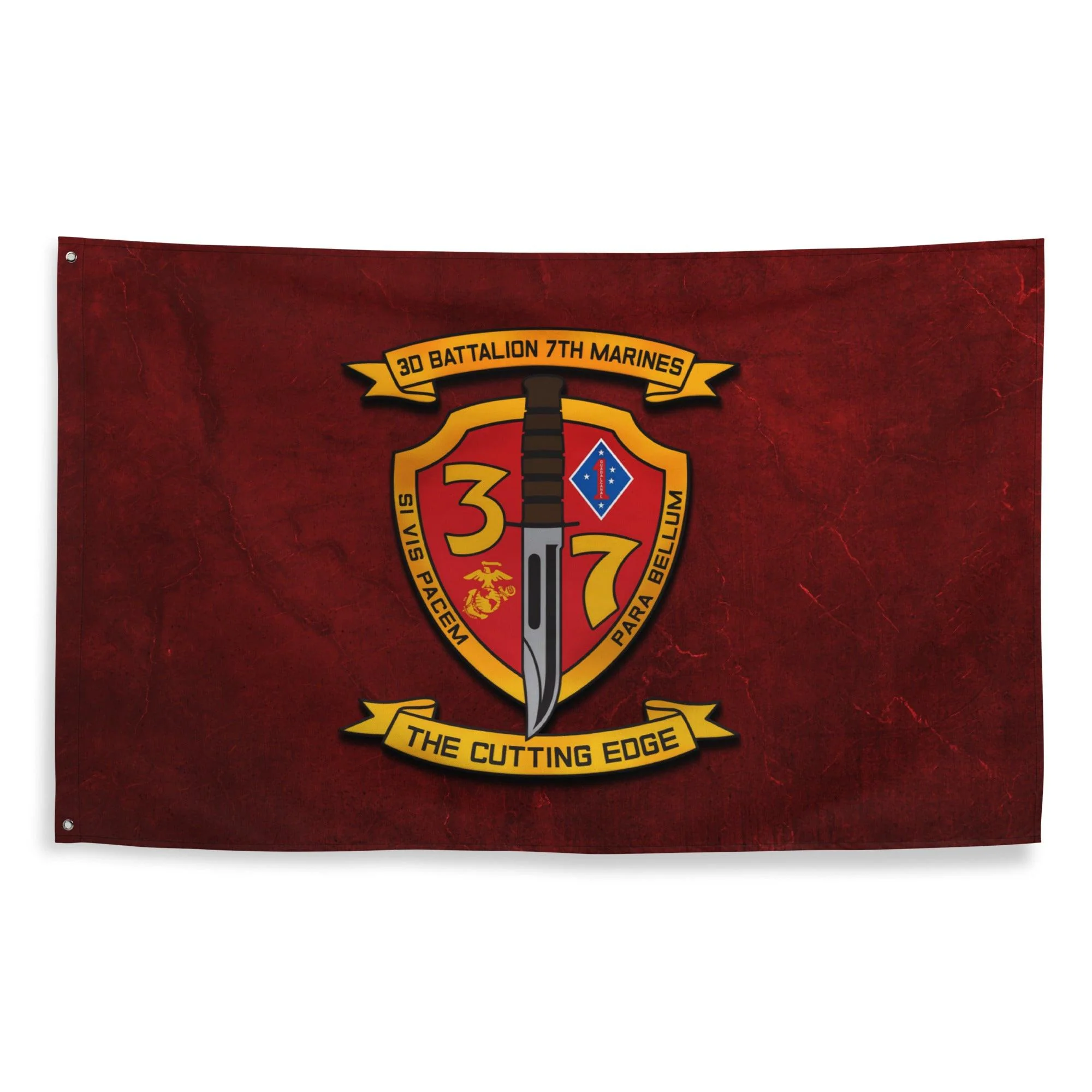 3rd Bn 7th Marines (3/7 Marines) Red Flag - Image 4